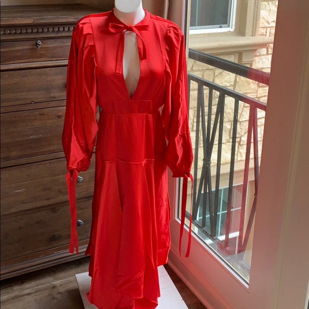 HOST PIC 🌹AMAZING SELF PORTRAIT SATIN MIDI DRESS - Picture 3 of 8